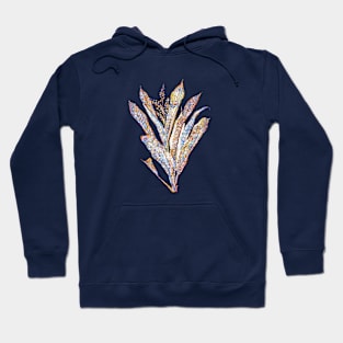 Stained Glass Cordyline Fruticosa Botanical Illustration Hoodie